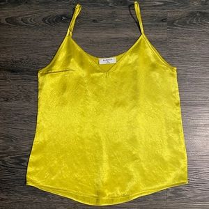 Aritzia stain camisole